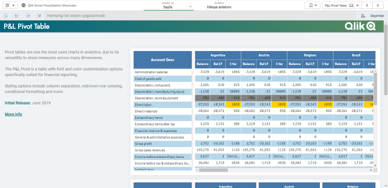 Power BI P&L Pivot Table Chart